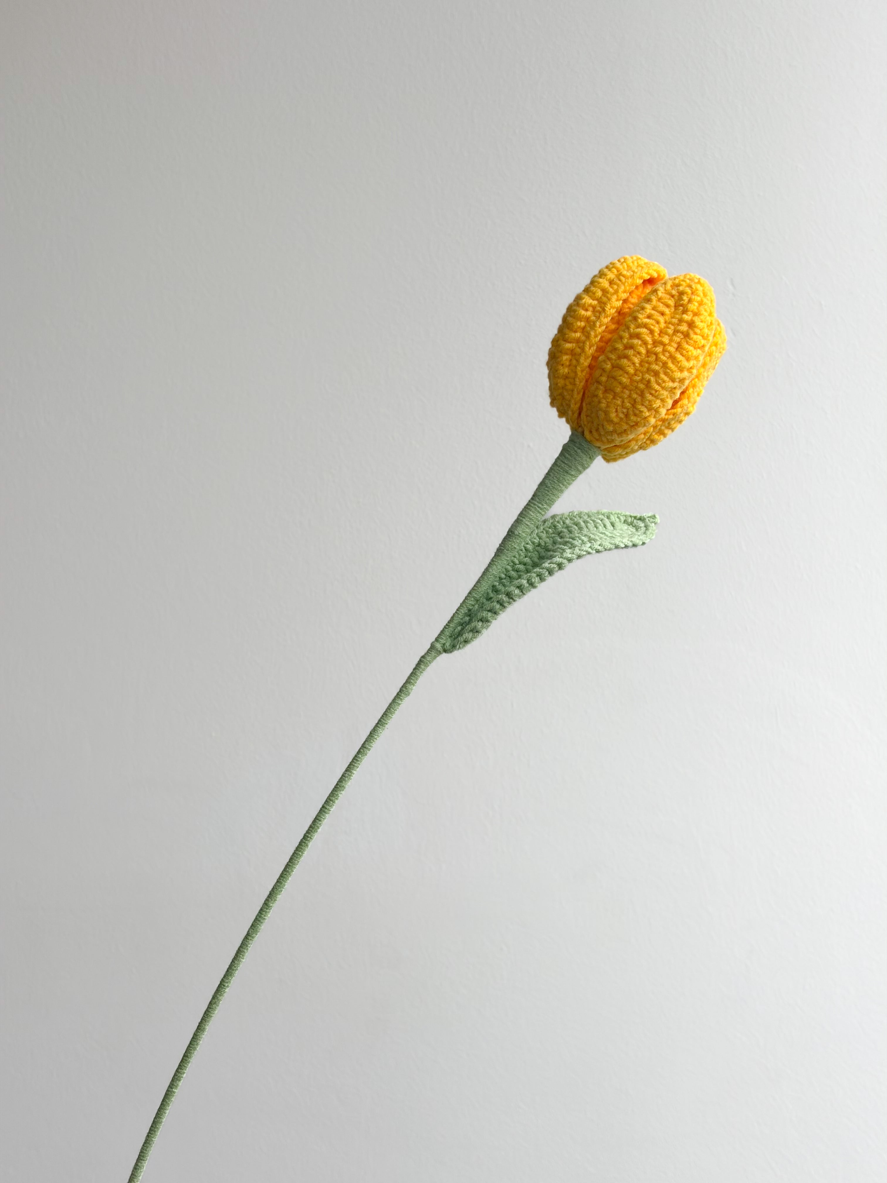 Tulpe - Gelb
