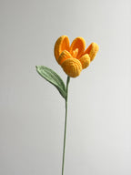 Tulpe - Gelb