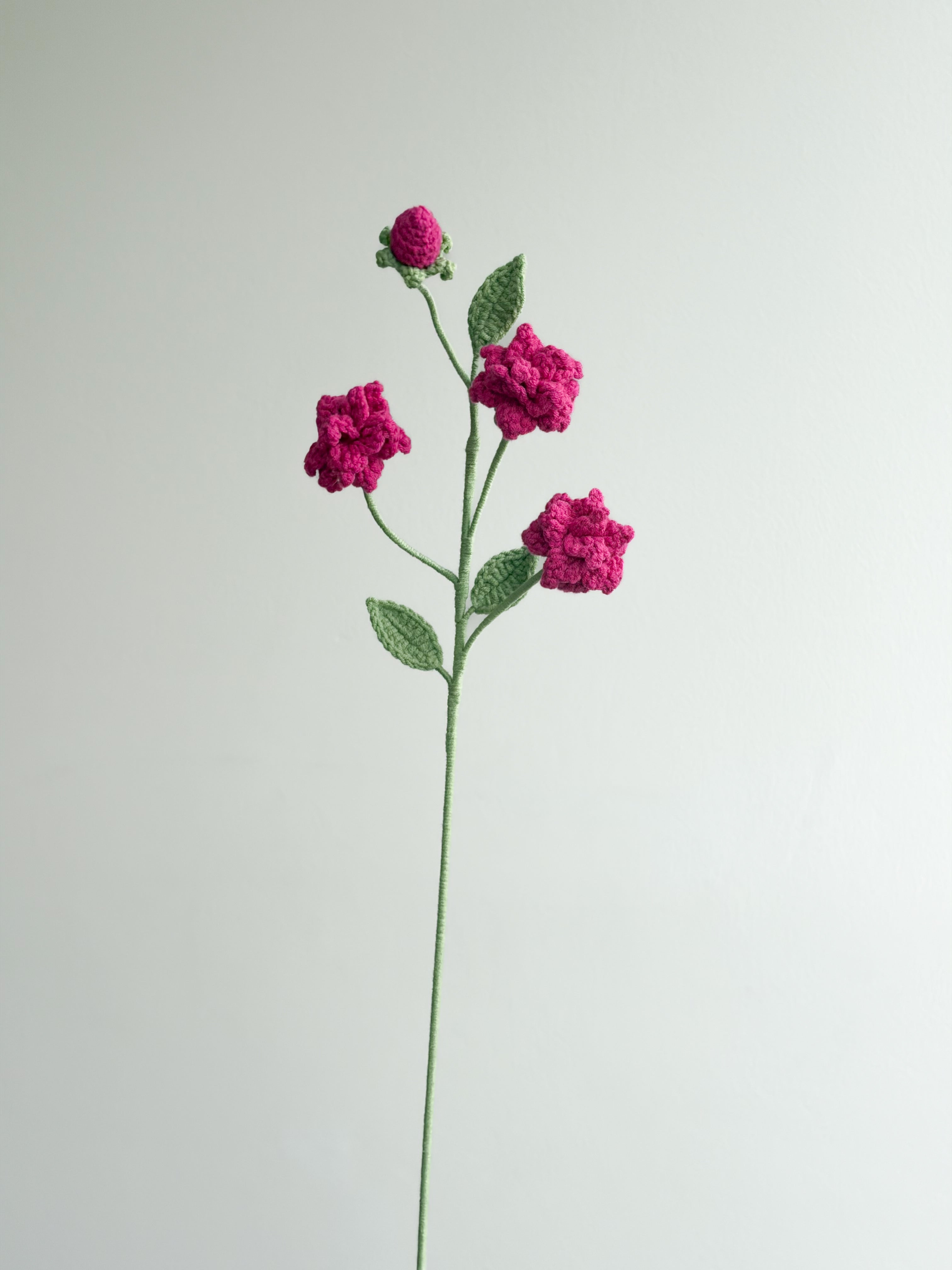 Kleine Wildrose - Pink
