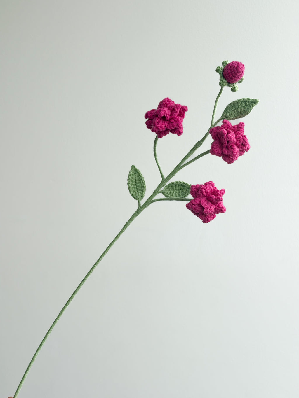 Kleine Wildrose - Pink