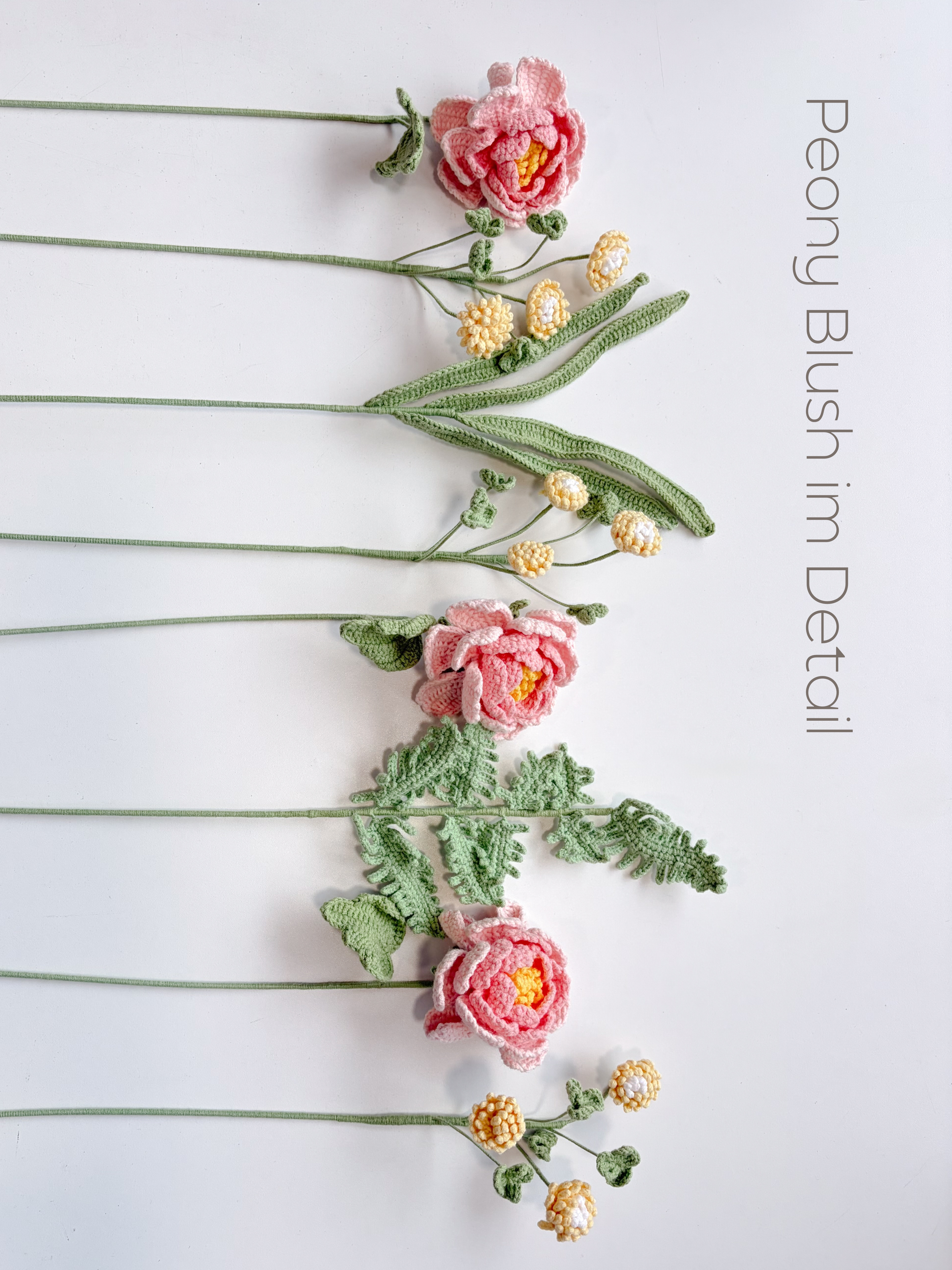 Peony Blush