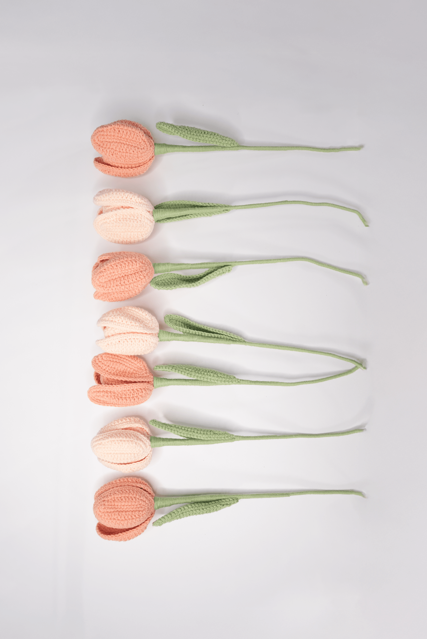 Diese Blumen sind im Tulip Dream Strauß enthalten